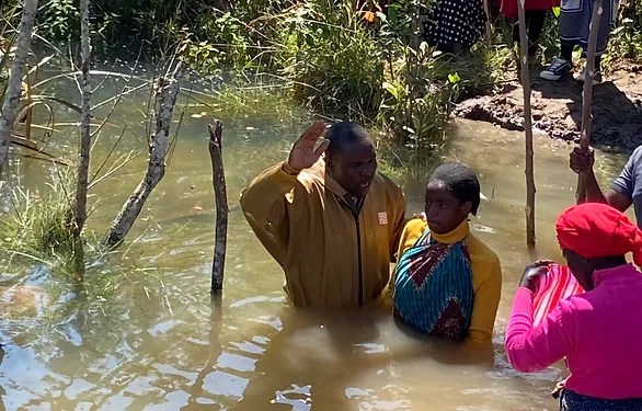 Army Ants, Rats, and Raging&nbsp;Bees