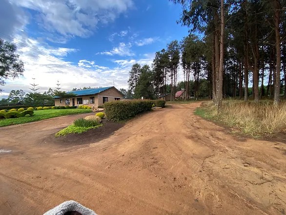 Accidental Phone Call?